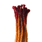 12se Dreadlock Extensions  - Wine Red to Amber tips