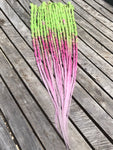 15 Dreadlock Extensions-Toffee Apple